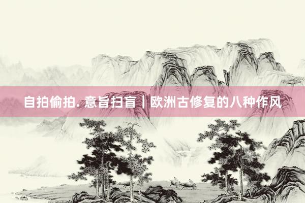 自拍偷拍. 意旨扫盲｜欧洲古修复的八种作风