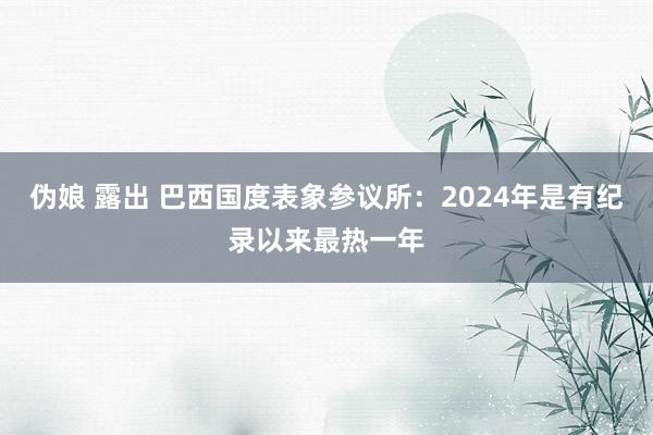 伪娘 露出 巴西国度表象参议所：2024年是有纪录以来最热一年