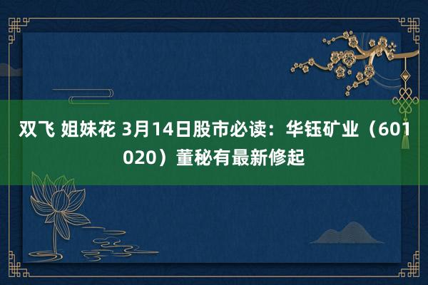 双飞 姐妹花 3月14日股市必读：华钰矿业（601020）董秘有最新修起