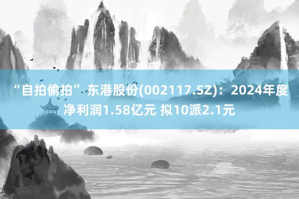 “自拍偷拍” 东港股份(002117.SZ)：2024年度净利润1.58亿元 拟10派2.1元