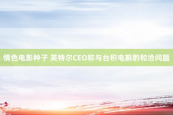情色电影种子 英特尔CEO称与台积电斟酌和洽问题