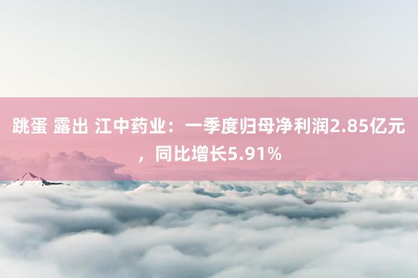 跳蛋 露出 江中药业：一季度归母净利润2.85亿元，同比增长5.91%